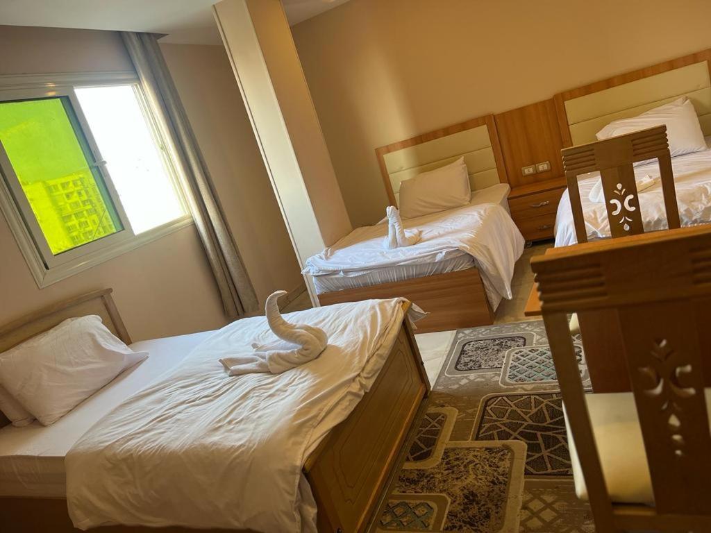 القاهرة Grand Pyramids View Hotel المظهر الخارجي الصورة